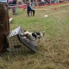 foire-haricots 2011-09-17et18